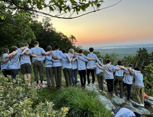 An Update from the Scouts